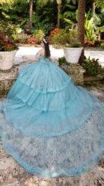 VESTIDO DE QUINCEAÑERA | REF: 26107 - Imagen 4
