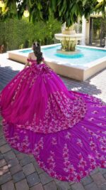 VESTIDO DE QUINCEAÑERA | REF: 80011 - Imagen 3