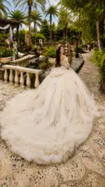 VESTIDO DE QUINCEAÑERA CHAMP/DORADO | REF: #26108 - Imagen 2